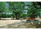 大針中央公園(公園)まで808m ジュネスSANOH