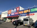 B＆Dドラッグストア篭山店(ドラッグストア)まで706m メルべーユ大清水