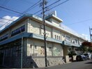 池上台幼稚園(幼稚園/保育園)まで416m フローラ池上台