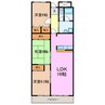 THE COMFORT 3LDKの間取り