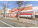 ダイソー平針南店(ディスカウントショップ)まで366m ジュネスマルフクC･D