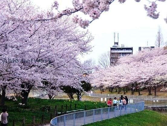 細口池公園(公園)まで1187m オアシス荒池