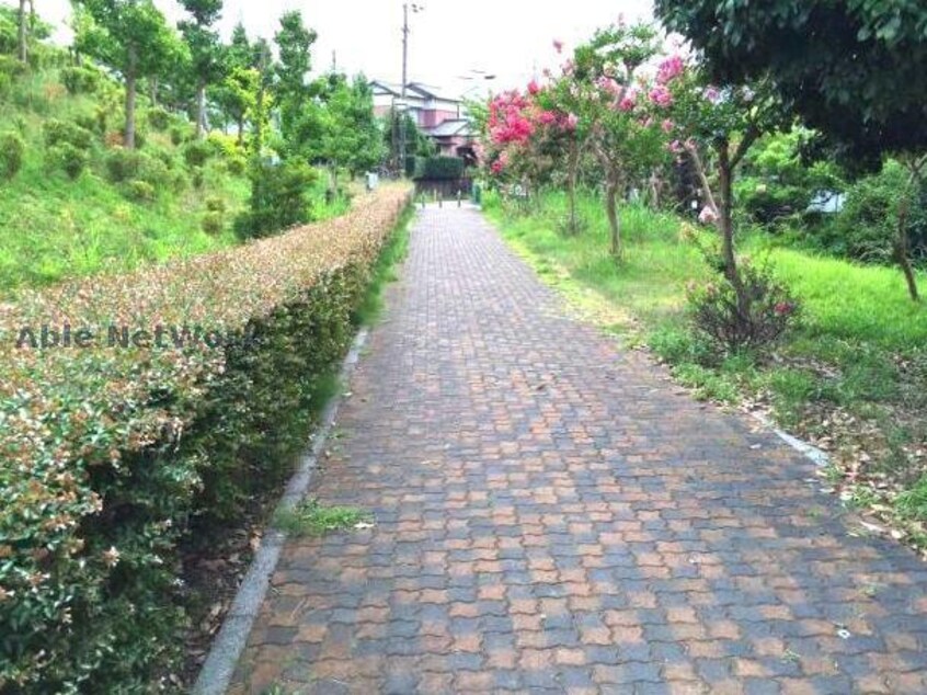 第9号前田緑道(公園)まで529m スプリングベル