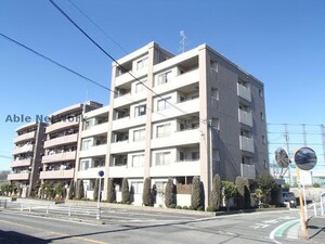 センペル