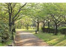 水晶山緑地(公園)まで317m ベル･ステージ岩崎台