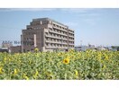 寿光会中央病院(病院)まで640m エクセルＡ