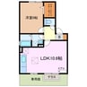 セレージャ 1LDKの間取り