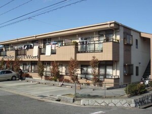 AYA.ベルモード