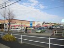 ジョーシン白土店(電気量販店/ホームセンター)まで1060m トータスハウス