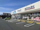ウエルシアみよし蜂ヶ池店(ドラッグストア)まで1010m 三好グランドハイツ