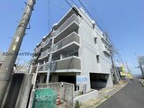フローレスチェリー