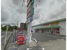 スギ薬局鳴海店(ドラッグストア)まで904m メゾンリリーベルⅠ