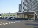 Felna浄水店(スーパー)まで258m Sun･Up･Royal 浄水Ⅱ