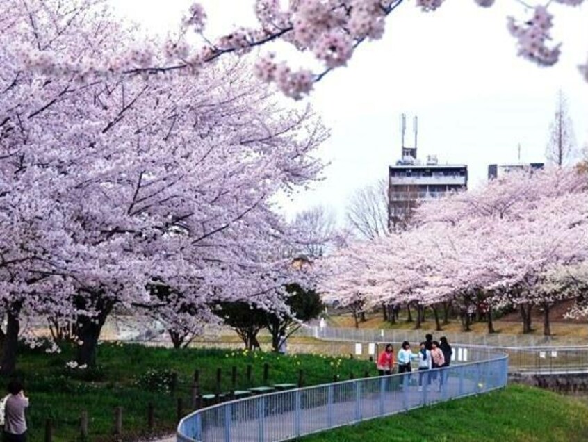 細口池公園(公園)まで1791m ソフィア