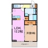 メイプル 1LDKの間取り