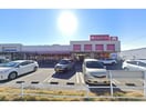 アオキスーパー上飯田店(スーパー)まで486m Ｍガーデン平安　