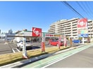 スギ薬局上飯田店(ドラッグストア)まで351m Ｍガーデン平安　