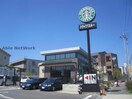 スターバックスコーヒー日進竹の山店(その他飲食（ファミレスなど）)まで279m フローラみずき