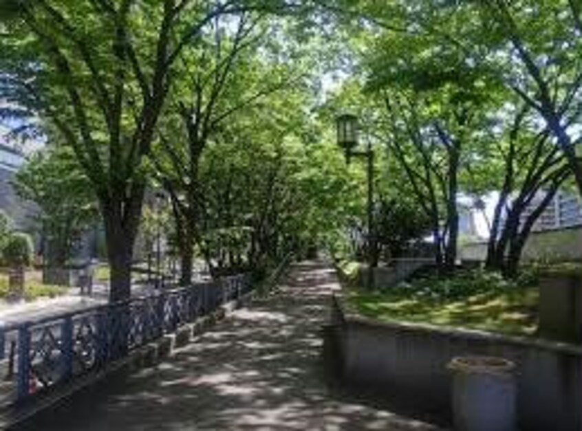 中之島緑道(公園)まで943m ダイドーメゾン大阪御堂筋