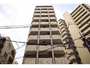 イベリスコート