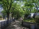中之島緑道(公園)まで495m ザ・ファインタワー大阪肥後橋