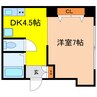 パシフィック南船場 1DKの間取り