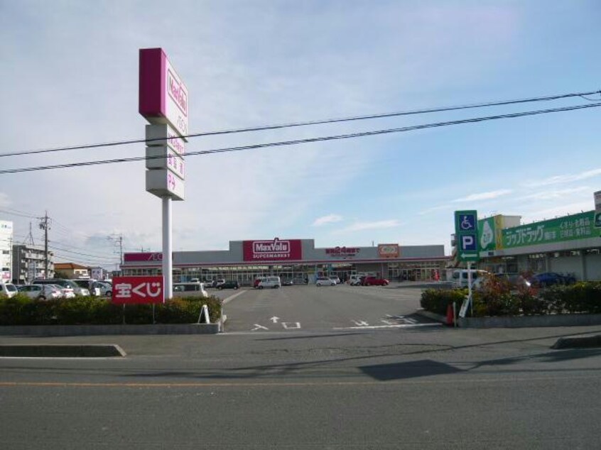 ジップドラッグ東洋岡田店(ドラッグストア)まで808m ハピネスタウンⅢ　２棟