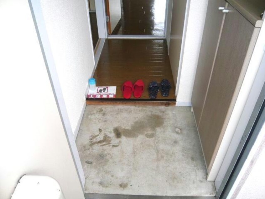  パールロイヤル江島