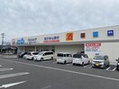 ウエルシア鈴鹿中江島町店(ドラッグストア)まで225m パールロイヤル江島