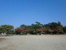 桜島公園(公園)まで1147m メゾンサンヒルズ Ａ棟