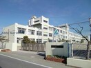 鈴鹿市立長太小学校(小学校)まで650m ＥＴＥＲＮＡＬ　ＰＡＬＡＣＥ Ａ棟