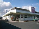 マックスバリュ若松店(スーパー)まで299m レジデンス若松