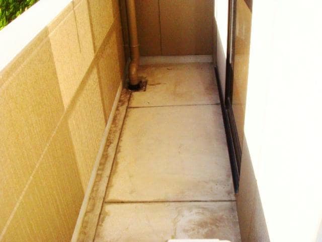  Ｓｕｎｎｙ Ｃｏｕｒｔ