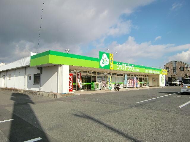 ジップドラッグ白子店(ドラッグストア)まで1131m セジュール江島本町