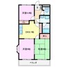 グレイスピア 3DKの間取り