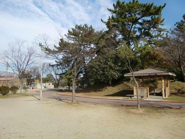 桜島公園(公園)まで830m ピアドール　ハーレクィーン