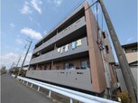 ダイヤモンドシャワー