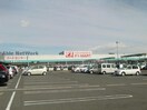 F☆MARTサーキット通り店(スーパー)まで1446m ティーツリー