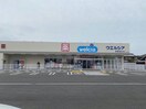ウエルシア鈴鹿稲生店(ドラッグストア)まで923m ティーツリー