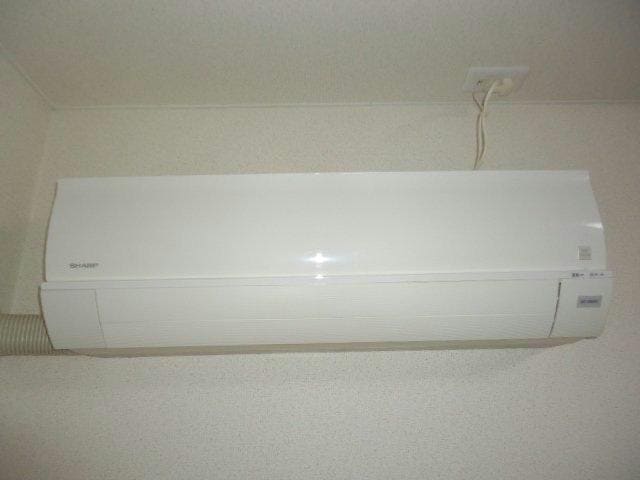  プチバイオレット