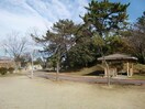 桜島公園(公園)まで1839m プチバイオレット