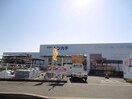 ミスタートンカチ北楠店(電気量販店/ホームセンター)まで433m ストークパークⅠ