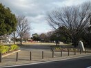 弁天山公園(公園)まで1084m GRAN　DUKE　SUZUKA