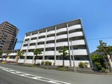 エスティⅢ
