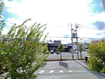 205 エスティⅢ