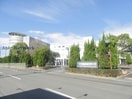 私立鈴鹿医療科学大学(大学/短大/専門学校)まで1302m Believe・N2