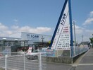 ミスタートンカチ北楠店(電気量販店/ホームセンター)まで1555m ラディーチェ・Ｂ