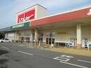 バロー鈴鹿店(スーパー)まで915m シダーフィールドＣ棟