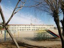 鈴鹿市立桜島小学校(小学校)まで1157m シダーフィールドＣ棟