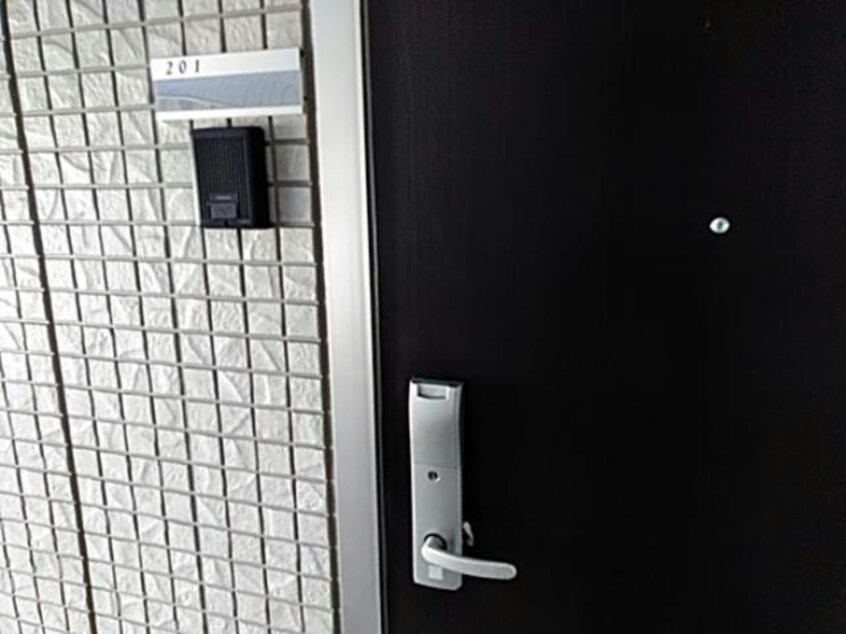 キセギ シロエⅡ キセギシロエⅡ